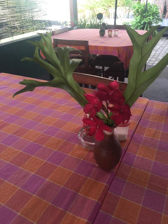 Bolonghes Homestay Negombo Luaran gambar